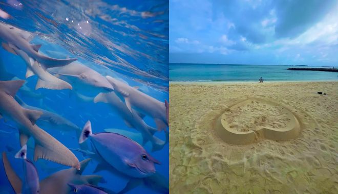 7 Day Maldives Tour Snorkel, Sand & Sun (12)