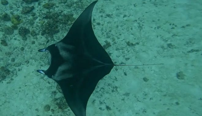 7 Day Maldives Tour Snorkel, Sand & Sun (15)