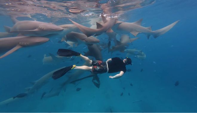 7 Day Maldives Tour Snorkel, Sand & Sun (4)