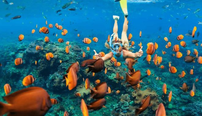 7 Day Maldives Tour Snorkel, Sand & Sun (6)
