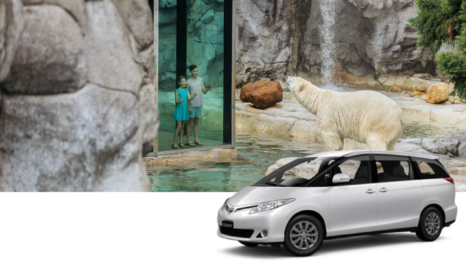 7 car rental ool 2