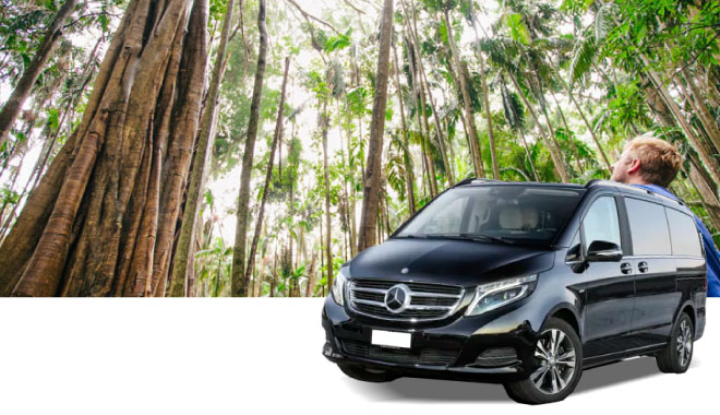 8benz car rental ool 8