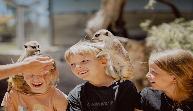 94bec676a26f77536fdcea46e798295c