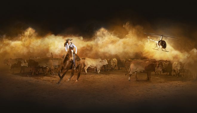 AOS Heartland Keyart Muster