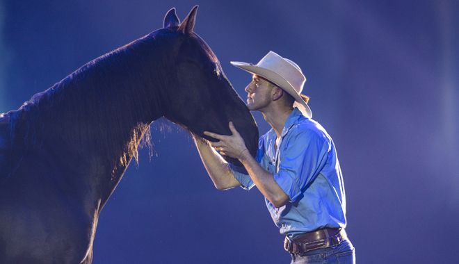 AOS Heartland Show Horse Whisperer 003