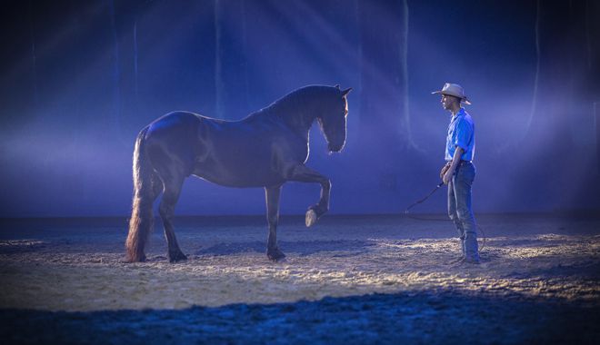 AOS Heartland Show Horse Whisperer 004