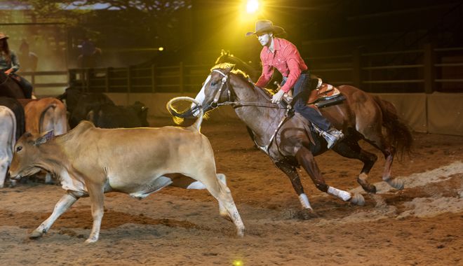 AOS Heartland Show Stockyards 001