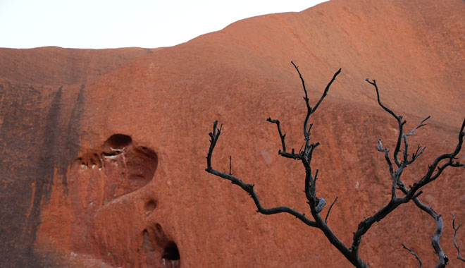 AY02 ULURU BASE