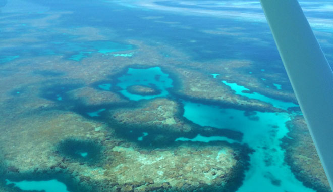 AbrolhosIslands13