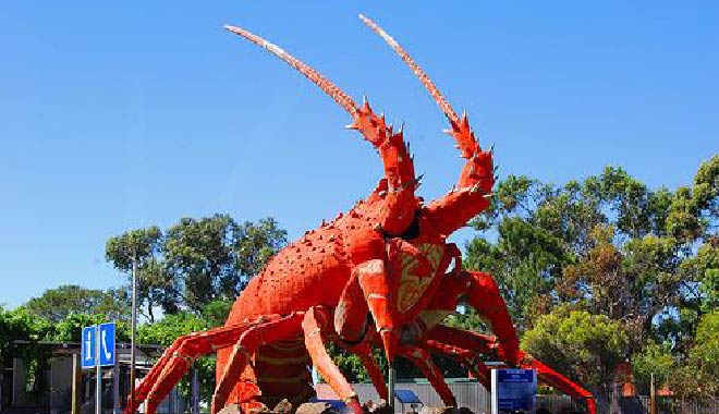 Adelaide Kingston 龍蝦鎮金斯頓