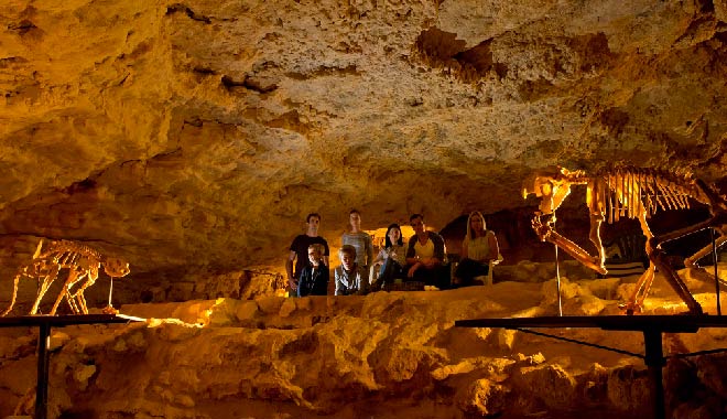 Adelaide Naracoorte Caves National Park Nasacort