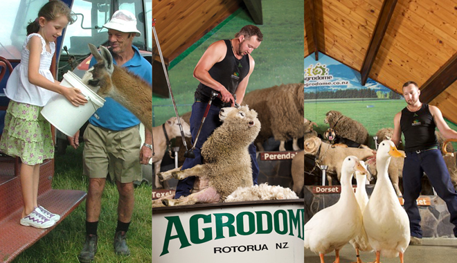 Agrodome (2)