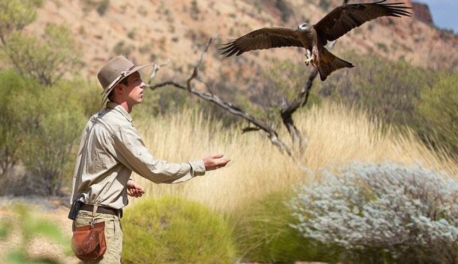 Alice Springs Desert Park  009