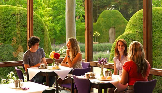 Ashcombe Maze Lavender Gardens 5