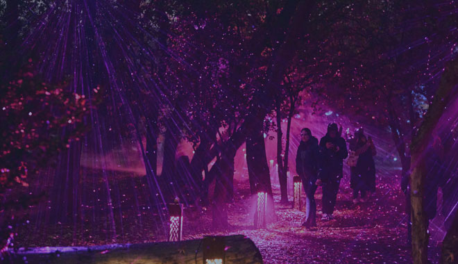 Astra Lumina Gold Coast WEB  012