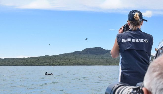 Auckland Whale and Dolphin Safari Cruise (4)
