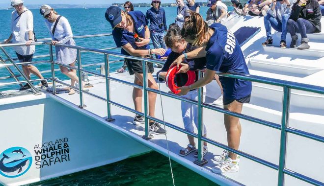 Auckland Whale and Dolphin Safari Cruise (5)