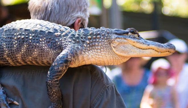 Australian Reptile Park 001