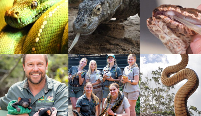 Australian Reptile Park 003