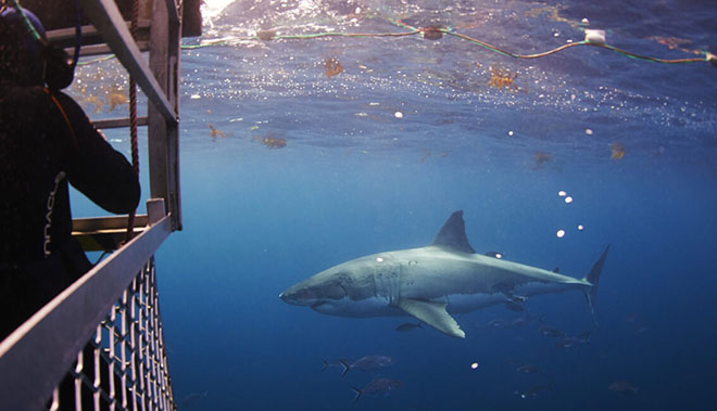 Australia’s Ultimate Camping Adventure (3)