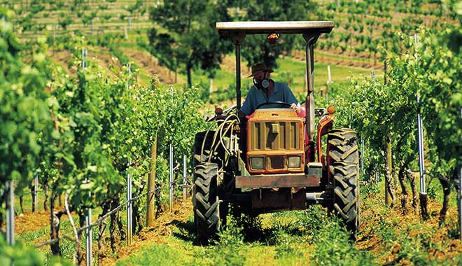 Autopia Hunter Valley 6