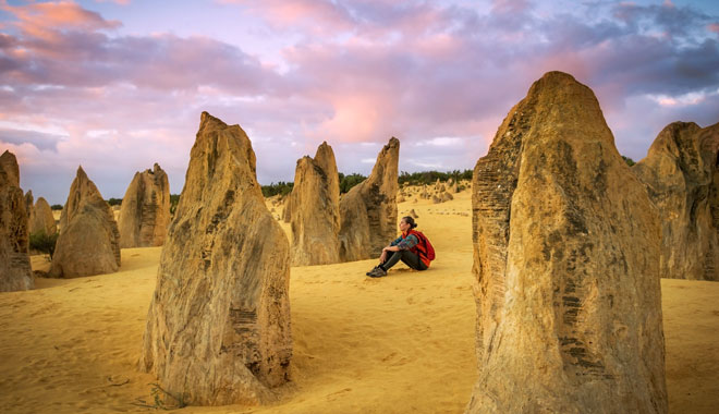 Autopia   Pinnacles WA 191 DK 2016 Credits Australias Coral Coast David Kirkland
