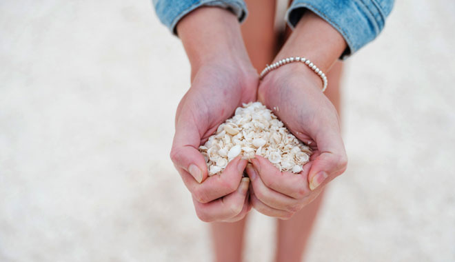 Autopia   Shell Beach Shark Bay World Heritage Credits Australias Coral Coast Cakewalk