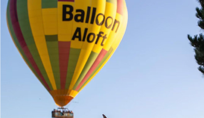 Balloon Aloft 04