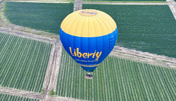 Ballooning in Yarra Valley 002 WEB