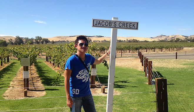 Barossa Valley 4