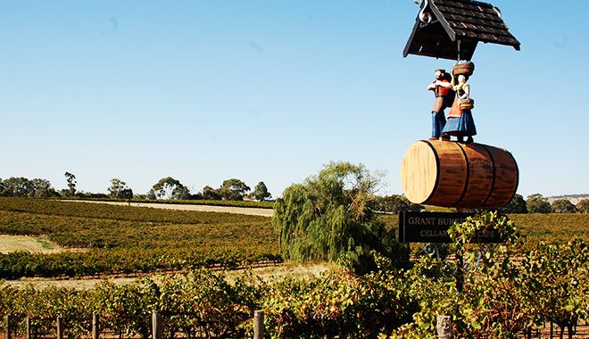 Barossa Valley 9