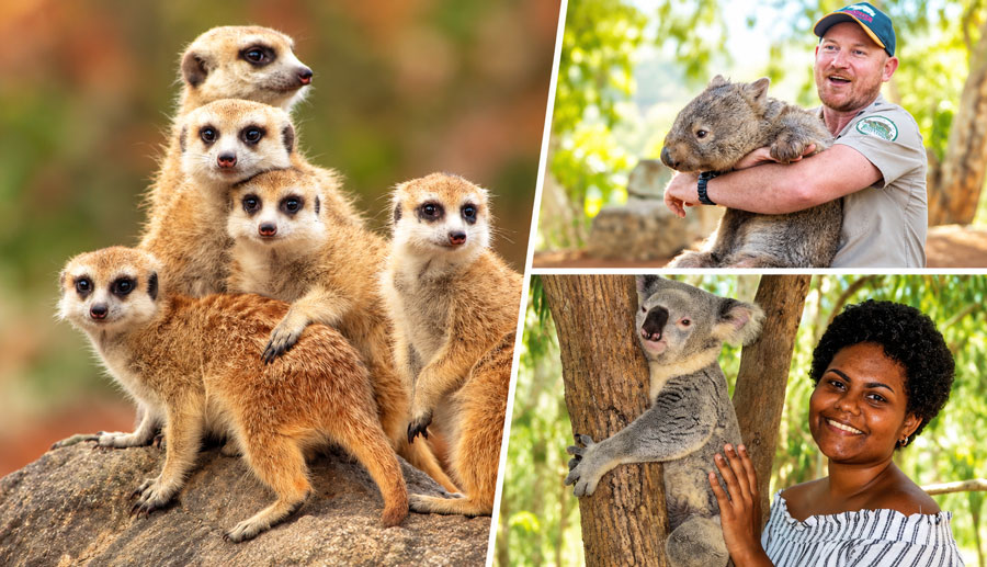 Billabong Sanctuary Townsville main
