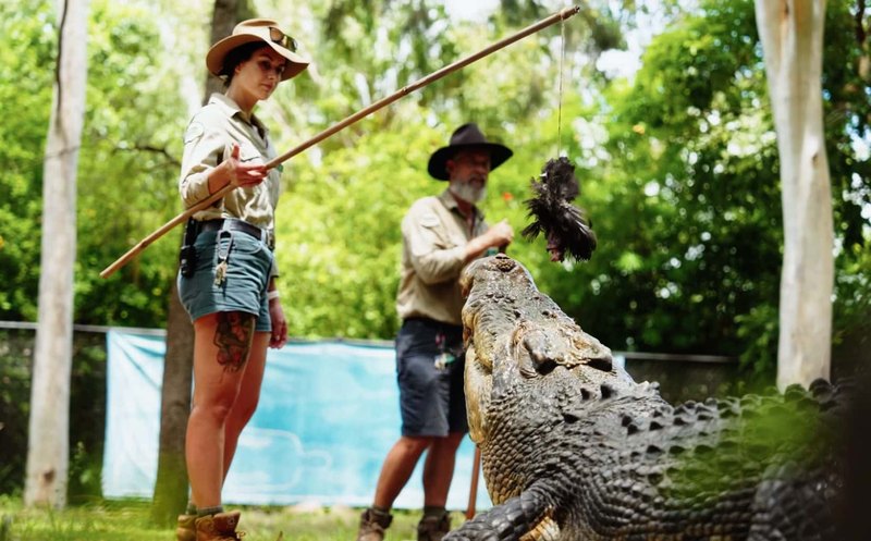 Billabong Sanctuary 04 Crocodile Show 800x497