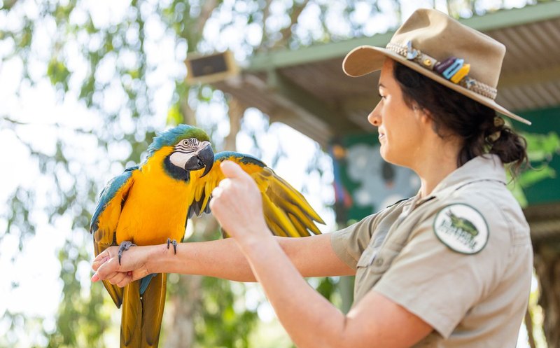 Billabong Sanctuary 07 Macaw Encounter 800x497