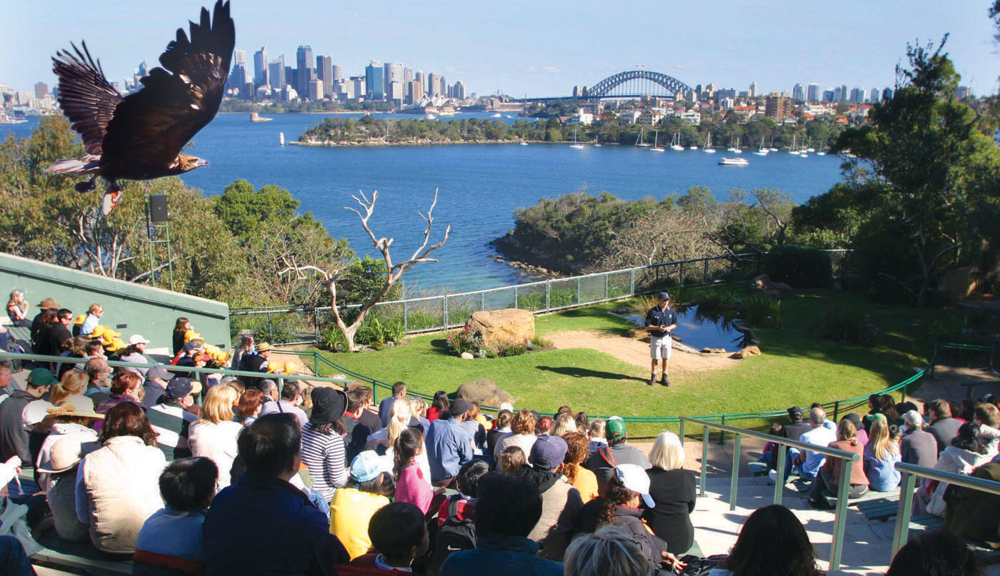Bird Show 19 07 2005 22 20 22