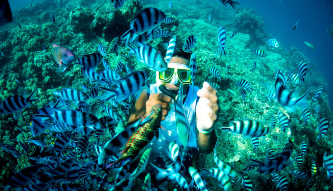 Blue Lagoon Cruises7
