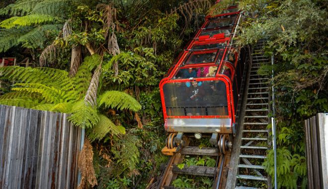 Blue Mountains Adventure, Wentworth Falls & Scenic World (8)