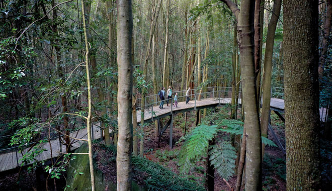 Blue Mountains walkway 02