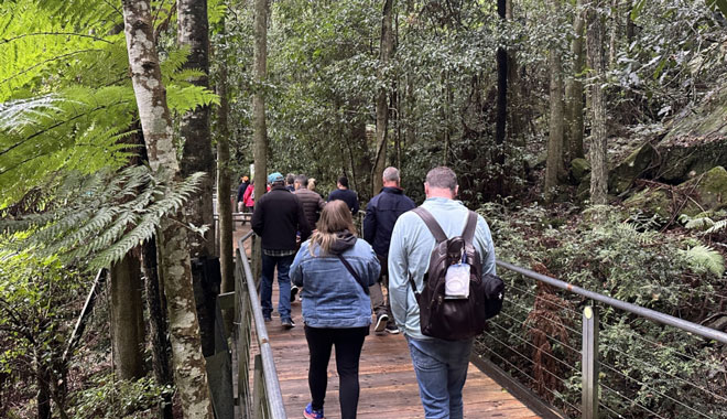 Blue Mountains walkway