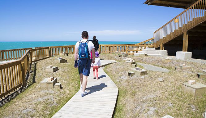 Blue Penguin Oamaru 9