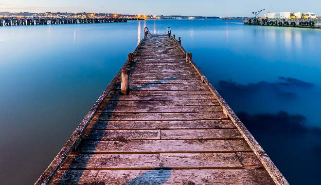 Blue Penguin Oamaru UPTRAVEL