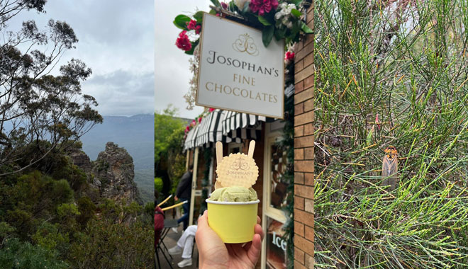 Blue mountain BD 009