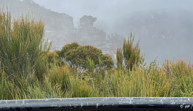 Boars Head Lookout 009