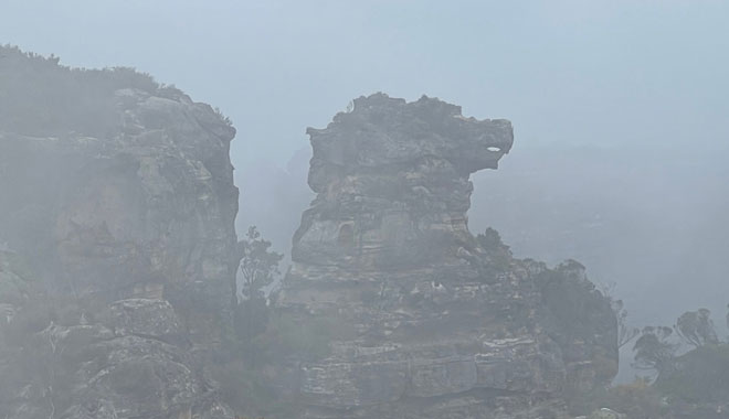 Boars Head Lookout 555