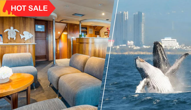 Boattime Yacht Charters Whales WEB 