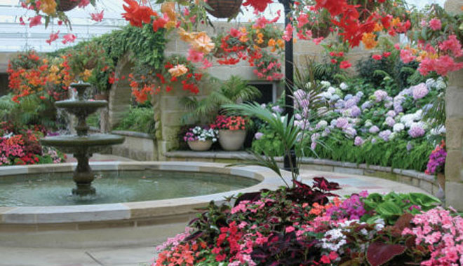 Botanical Gardens 460x345