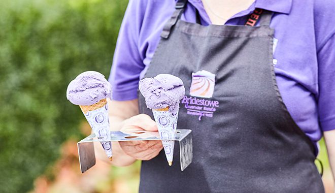 Bridestowe Lavender Farm 8