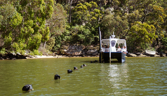 Broken Bay Pearl Farm 03