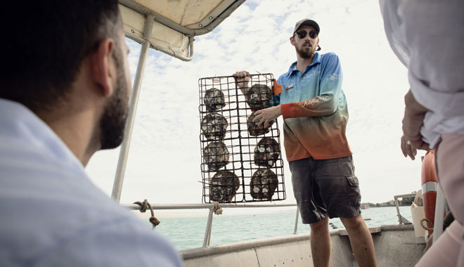 Broome Willie Creek Pearl Farm Tour 3 