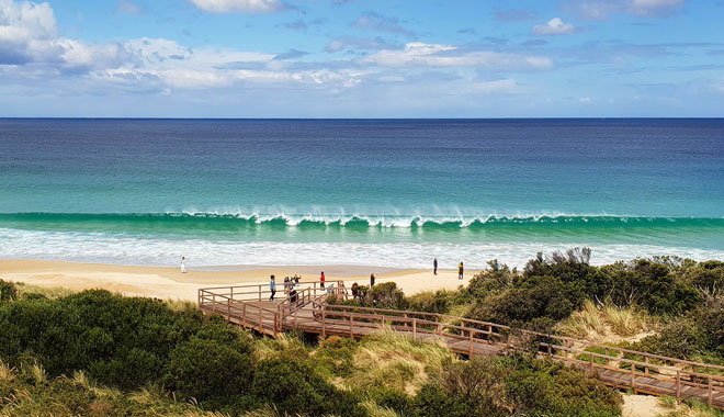 Bruny Island Safari 002